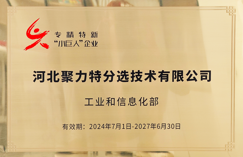 2024年国家级专精特新小巨人_副本.png